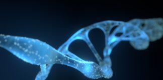 What does your brand stand for?