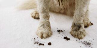 Sales doesn’t have to be a dirty word