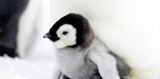 5 tips for a successful content migration