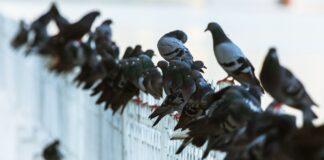 Thought leaders don’t sit on the fence