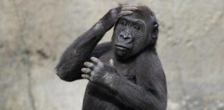 Does your brand need evolution or revolution?