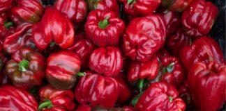 How to grow organically on LinkedIn