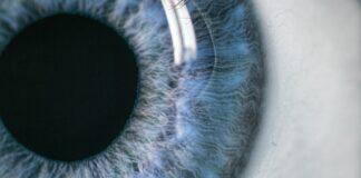 SEO: Searching for outcomes