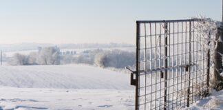 Close the gate! Don’t give your thought leadership away for free