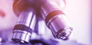 To be credible ESG advisors, professional services firms must demonstrate their license to operate